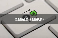 类金融业务（金融机构）