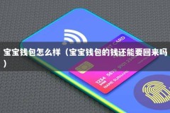 宝宝钱包怎么样（宝宝钱包的钱还能要回来吗）