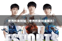 世界杯奥特加（世界杯奥特曼图片）