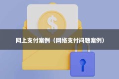 网上支付案例（网络支付问题案例）