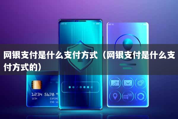 网银支付是什么支付方式(网银支付是什么支付方式的)